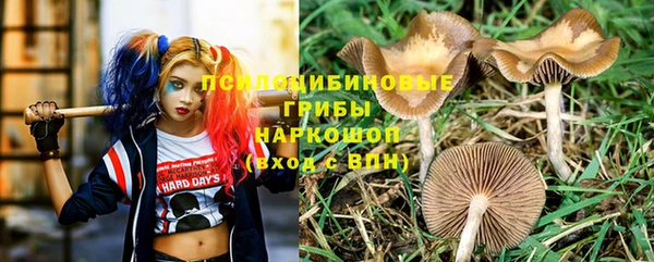 гашик Алексеевка