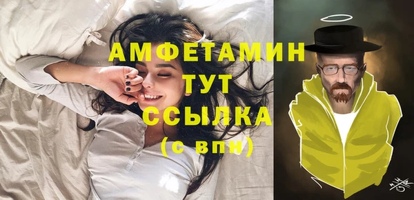 СК Пересвет