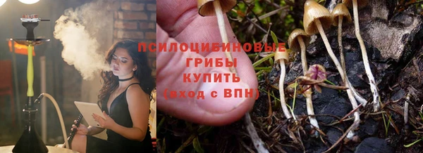 гашик Алексеевка