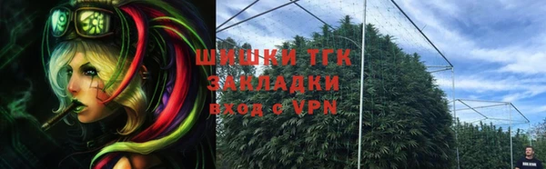 СК Пересвет