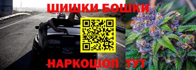 шишки Гусев